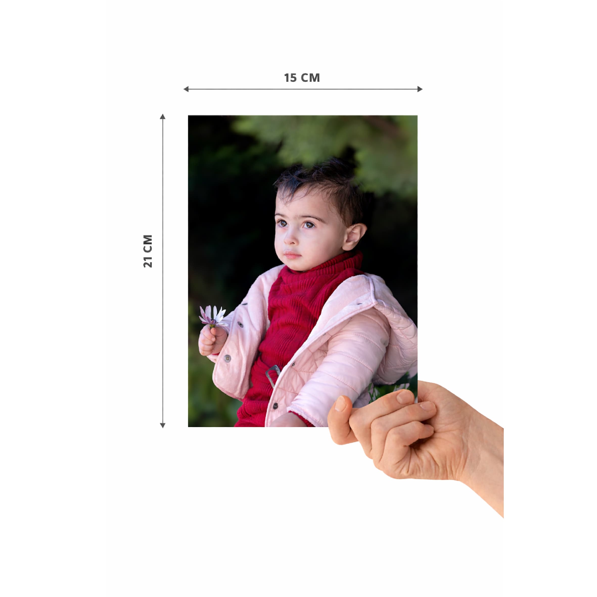 صور المناسبات